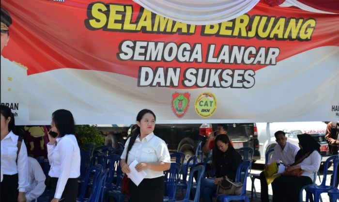 CHUTOGEL - Pengumuman Seleksi Administrasi PPPK 2024 di Situs BKN